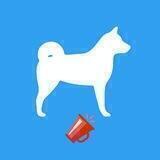 Dogger Official Announcements Channel