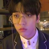 𝐒teve 𝐂hoi