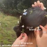 ›› зeлeно́e лeто!¡