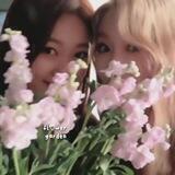 𝑓𝑙♡︎𝑤𝑒𝑟 𝑔𝑎𝑟𝑑𝑒𝑛ˡᵒᵛᵉ