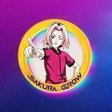 Sakura grow