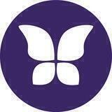 The Butterfly Effect Official