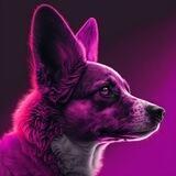 MAGENTA