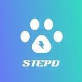 StepD - STEP OF DOGE | KYC & AUDIT