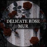 Delicate_rose_mur🥀