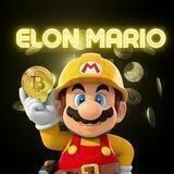 Elon Mario Bsc Token