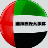 迪拜大事件 | 新闻曝光