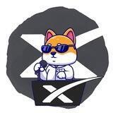 X CEO