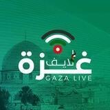غزة لايف gaza live