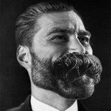 Aristocratic Radicalism