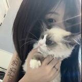 妮可工作频道
