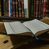 قَنَـاة نَشْـر العِلْـم النَّافِـع 📚🍃