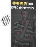 🌼የፋዚሌት ልጆች🎬🌼