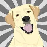 New Community Doge (cDoge) Token Chat