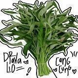 DRAVALIO ️CANGCUNG 💚