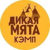 ДИКАЯ МЯТА КЭМП