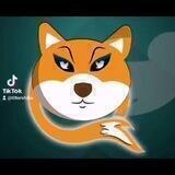 TitterShiba Global 🔥