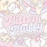 Kitten Pluffy