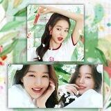 ( ! ) 𝗑𝗈𝗑𝗈 𝗌𝗍𝗂𝗄𝖾𝗋𝗌🐰