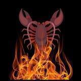 🔥🦞 Portal