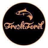 🐟 Томск | FreshForel