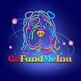 GOFUNDMEINU - New Funding Generation