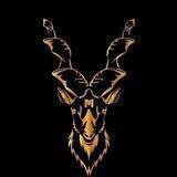 Markhor Meta announcement channel