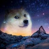 DogeNight