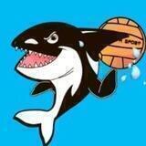 🤽‍♂️WPTeam🤽‍♀️ KOSATKI