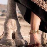 ˼- عناد ابدويهہ ♪˹