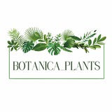 Botanica_plants