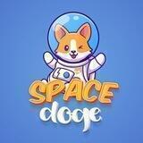 Space Doge | BSC 1000X gem