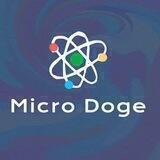Micro Doge