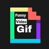Gif"video" funny