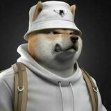 二狗社区