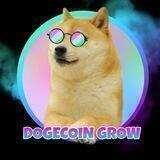 Dogecoin Grow Portal