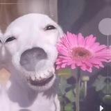 ᴍᴀʀᴋᴇᴛsᴋɪᴇ