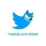 TWEELON DOGE