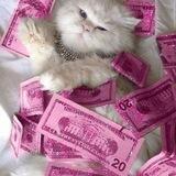 находки с вб😻