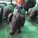 А че. Харчо.
