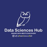 Data Sciences Hub🦉
