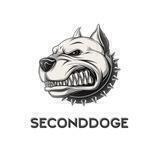 Second Doge official