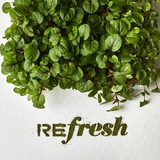 reFRESH