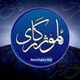 amozhgary.net