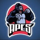 APES OFFICIAL 🦍 $APES | BSC