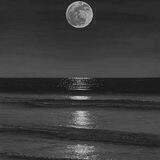 🌘 Dark Moon 🌒