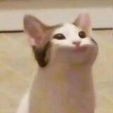 Секта