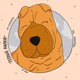 Тёплые Лапки 🐾
