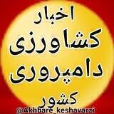 اخبار کشاورزی ودامپروری کشور