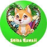 Shiba Hawaii 🏖 Aloha